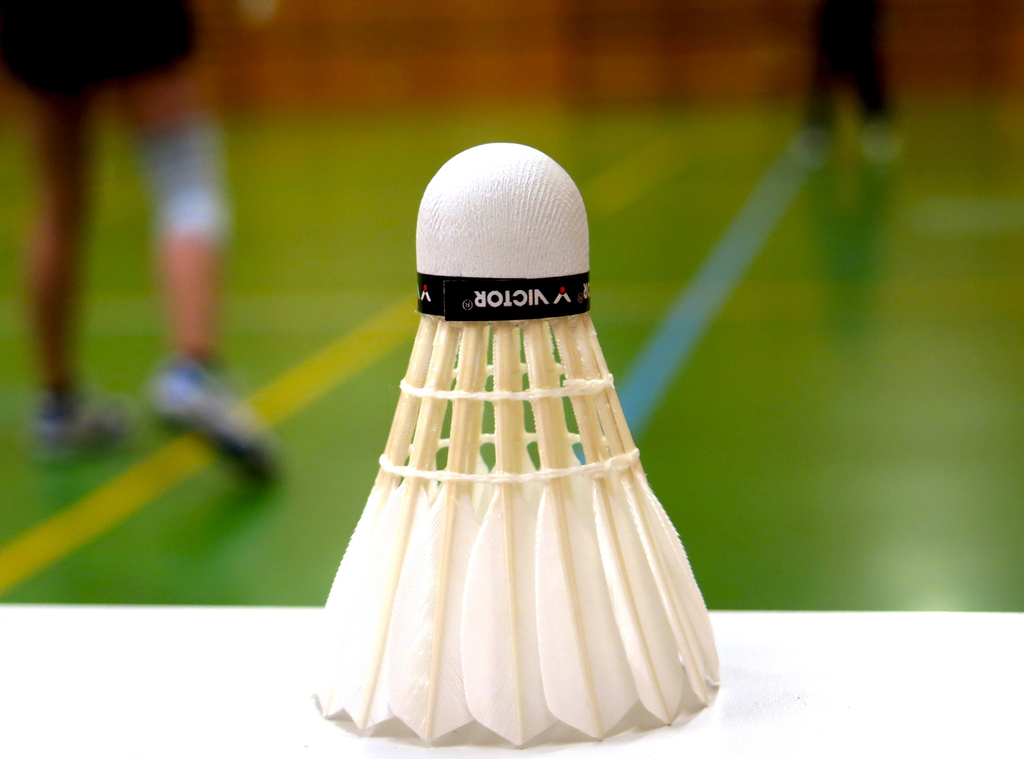 Stage de Badminton proposé les 3 et 4 mars 2022