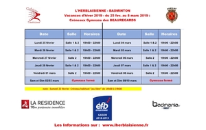 Créneaux Bad &quot; jeu libre &quot; congés d'Hiver 2019