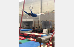 Reprise de la gymnastique masculine le 19 mai et inscriptions 2021-2022