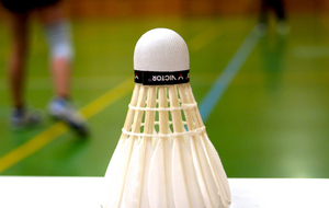 Stage de Badminton proposé les 3 et 4 mars 2022 - ANNULATION -