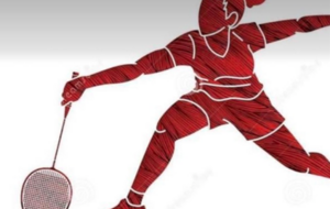 Jeu libre féminin - jeudi 7 juillet de 19h à 22h 