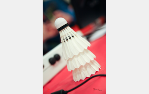 Badminton du 17 Août au 4 septembre créneau 19h - 20h20