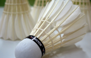 Badminton Equipe 1 