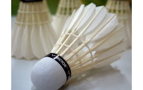 Les inscriptions Badminton 2021-2022 ouvertes
