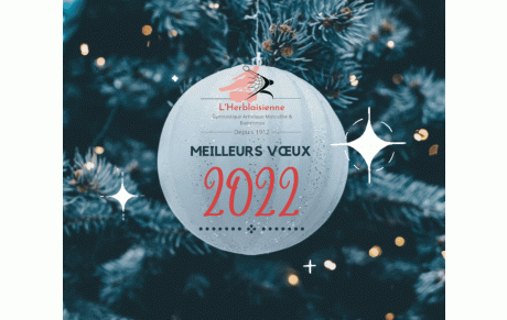 Meilleurs Voeux 2022