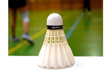 Besoins prêts matériel pour compétitions de Badminton