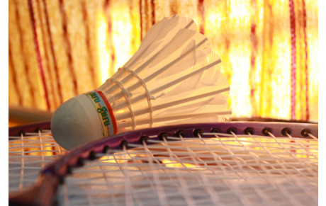 Pas de créneau Badminton vendredi 25 novembre en raison du Téléthon Volley