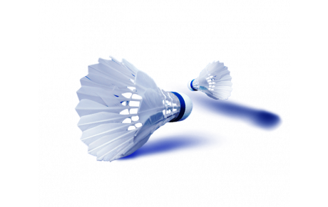 Les créneaux de Bad - congés d'hiver 2023